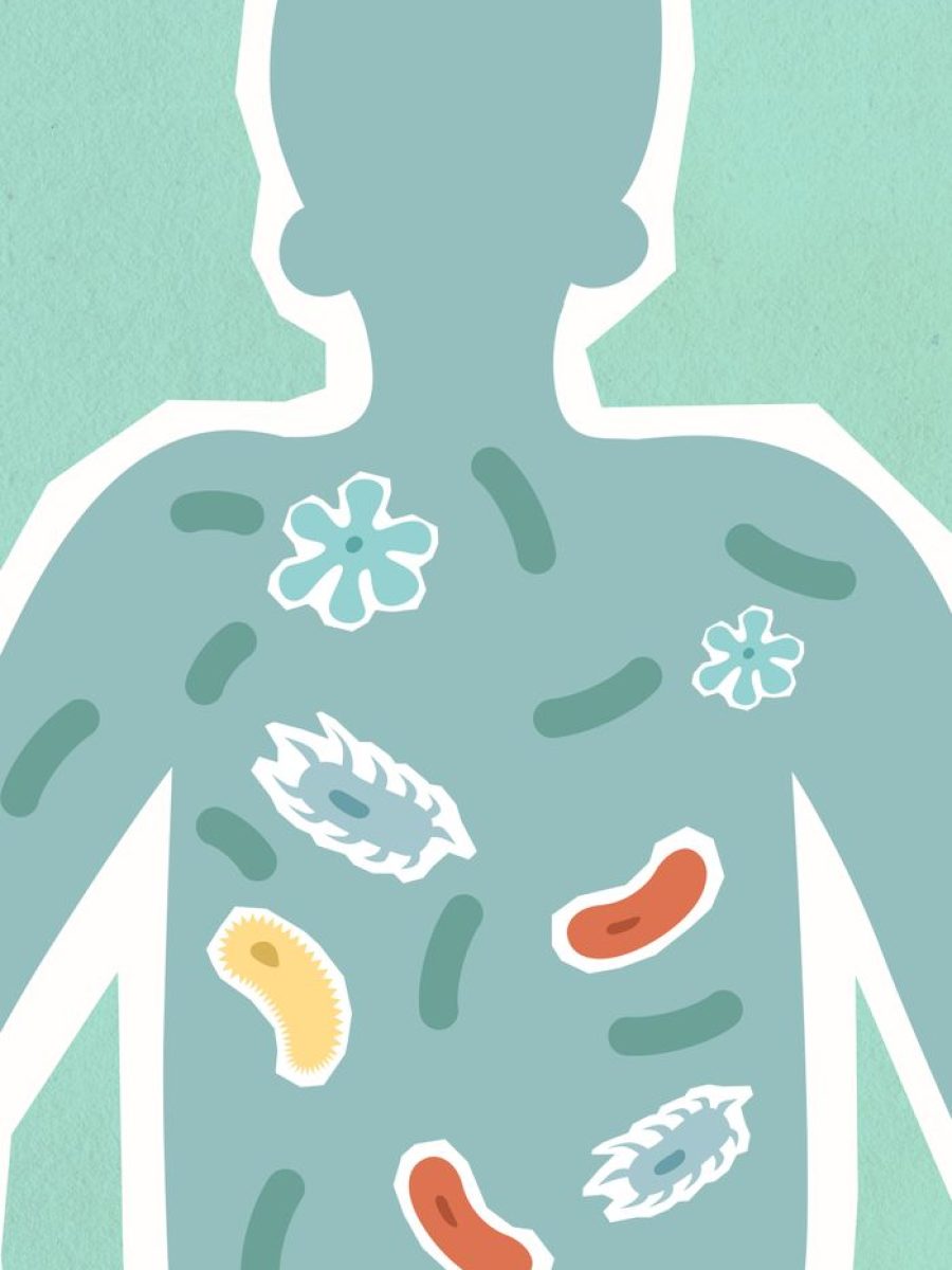 Illustration depicting microbiome within a human silhouette on a textured background.